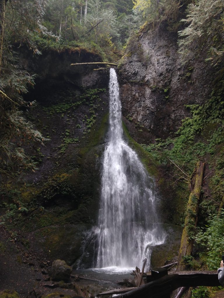 Marymere Falls trail