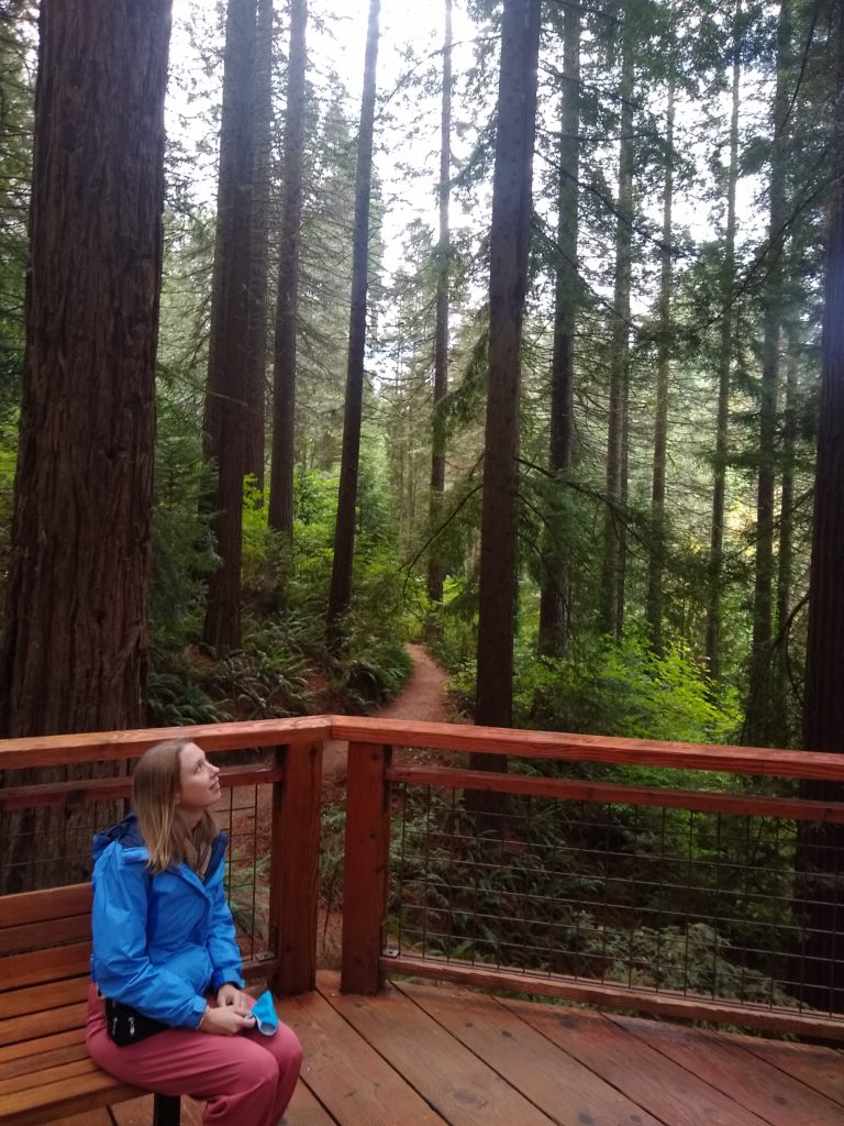Redwood deck at Hoyt Arboretum