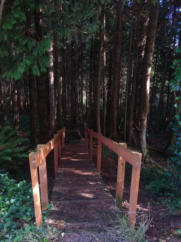 Forest entry to the Depoe Bay Creek Trail
