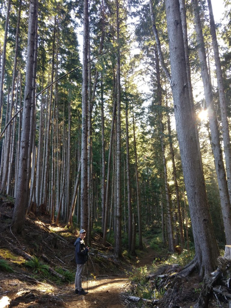 Spyglass Ridge Trail