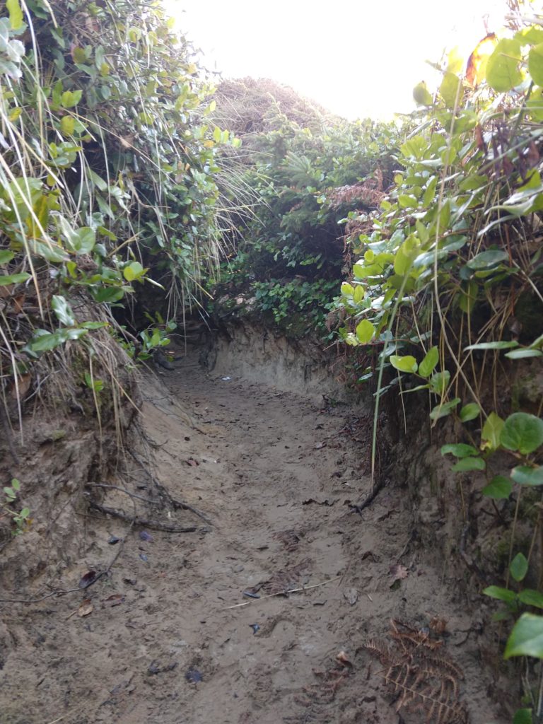 Hobbit Trail entrance from Hobbit Beach